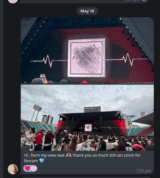 Lyaa's concert photo