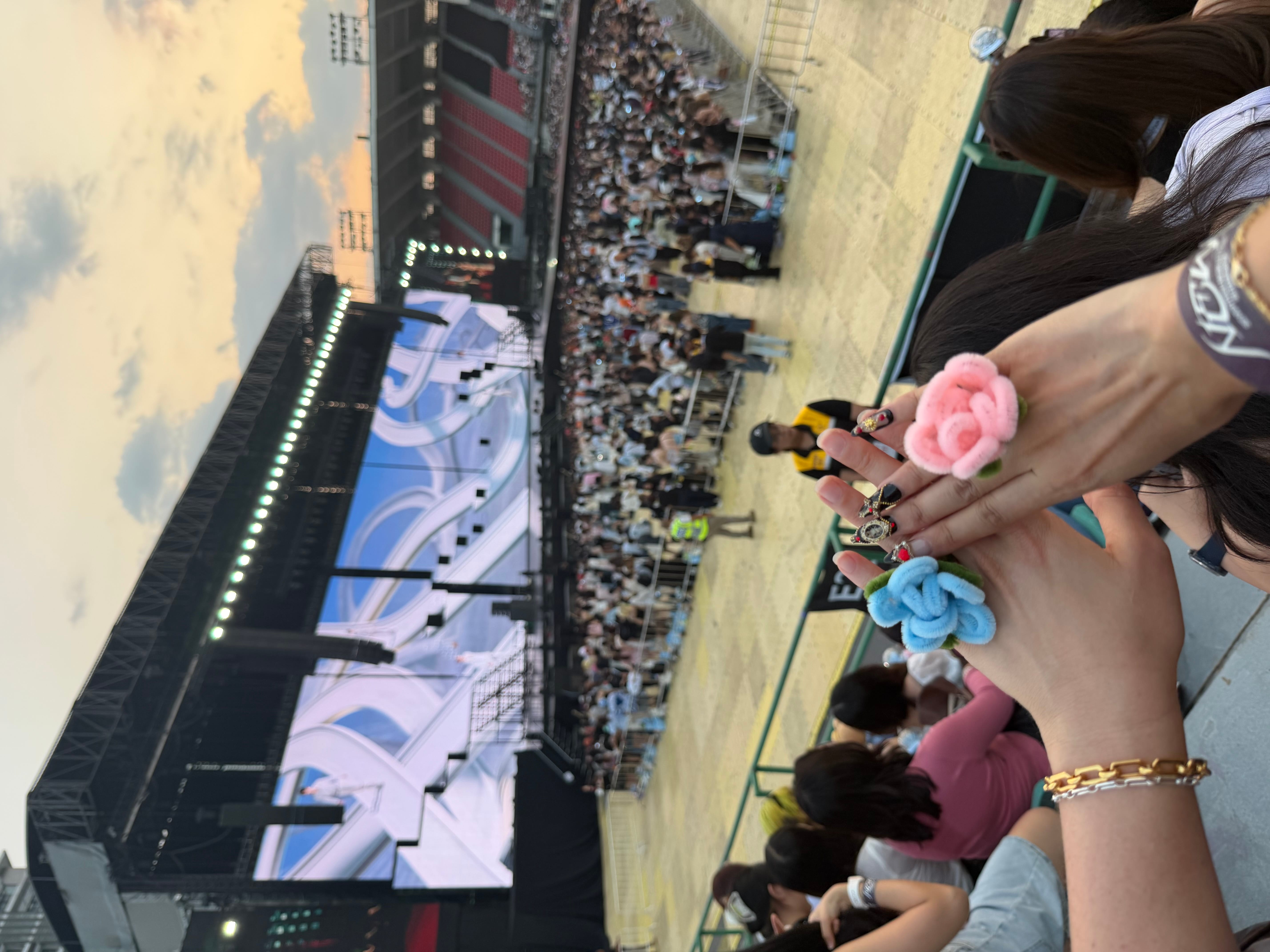 Sarah's concert photo